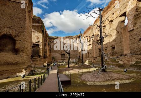 Terme di Caracalla or the Bath of Caracalla ruins in Rome, Italy. Stock Photo