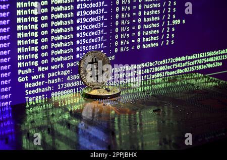 Two bitcoins lies on a videocard surface with background of screen display of cryptocurrency mining by using the GPUs Stock Photo