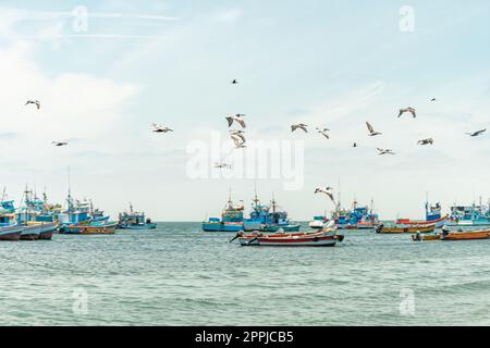 fishing boats and pelicans in the sea Stock Photo