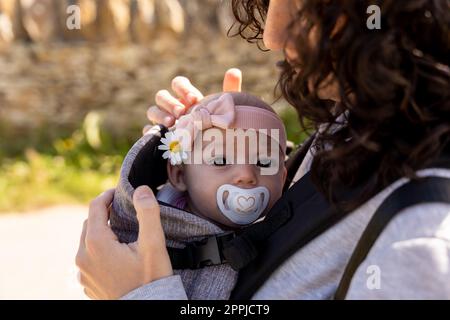 beautiful baby with a pink bow on her head and a pacifier being carried by her mother who carries her in an ergonomic baby carrier. concept care and s Stock Photo