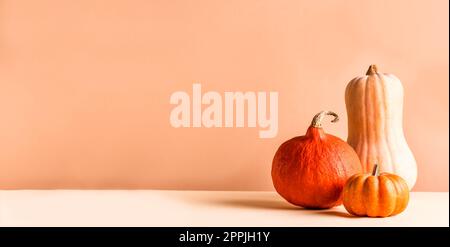 Pumpkins on beige background, copy space, banner. Minimal autumn trendy composition with butternut and squash pumpkins, Halloween or Thanksgiving fall Stock Photo