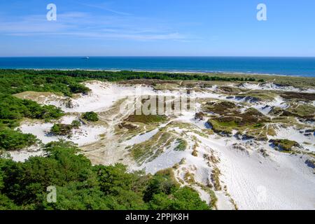 Dunescape of Dueodde Strand, the sandy beach on the southeastern tip of Bornholm Island, Denmark. Stock Photo