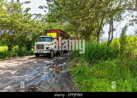 long truck from several trailers Stock Photo