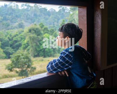 boy looking out window looking at the green forest Stock Photo