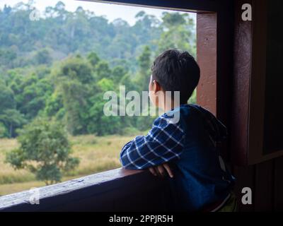 boy looking out window looking at the green forest Stock Photo