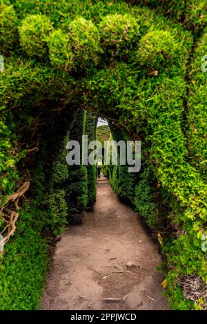 Tulcan, Ecuador - October 8, 2022: cemetery with green sculptures made of plants Stock Photo