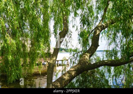 Fishing lodge on the lake near Krakow on the lake with a jetty. Inland fishing Stock Photo