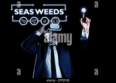 Hand writing sign Sea Weeds. Conceptual photo Large algae growing in the sea or ocean Marine plants flora Stock Photo