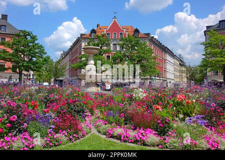 Europe, Germany, Bavaria, Munich, old town, GÃ¤rtnerplatz, Isarvorstadt, flower plant Stock Photo