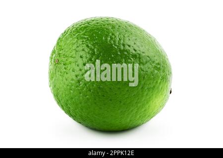 Lime isolated on white background. Stock Photo
