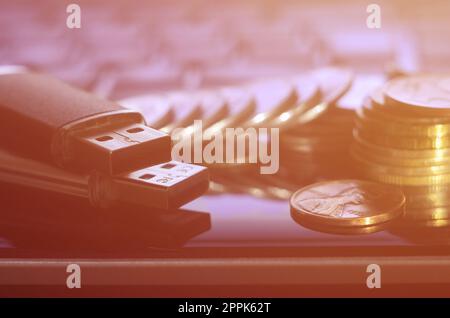 Memory cards and money on the laptop keyboard Stock Photo