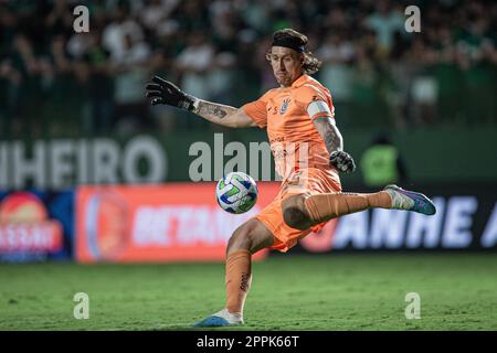 O melhor goleiro do Corinthians 2023, ao seu lado está Cássio nessa fo