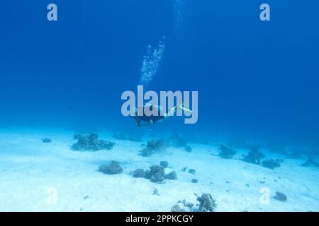 Single scuba diver over a coral reef, air bubbles, underwater landcape Stock Photo