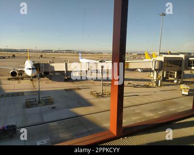 Istanbul Turkey, Sabiha Gokcen Airport Uluslararasi Havalimani 07.15.2022 view from the window of the passenger terminal on the runway area. Airplane bridge. Suitcases disembark from the plane Stock Photo