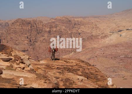 Donkey on a rock close to the view point of the high place of sacrifice trail, Petra, Jordan Stock Photo