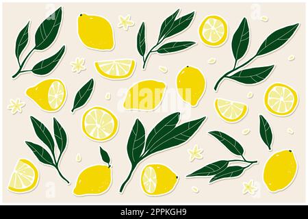Lemon sticker set. Hand-drawn lemons on a beige background. Slice, halves, whole fruit, leaves, flowers, seeds. Cartoon citrus tropical collection. He Stock Vector
