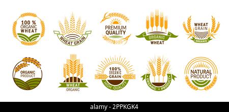 Wheat ears icons, cereal spikes of rye, barley or rice millet, vector organic product labels. Wheat grain food signs of premium quality bread or flour Stock Vector