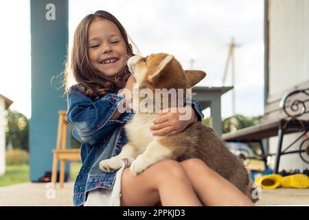 Portrait of laughing little girl with long dark hair wearing denim jacket, holding friendly welsh pembroke corgi puppy. Stock Photo