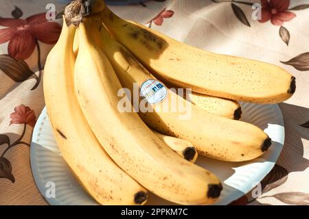 Close up organic fresh bananas bunch on plate concept photo Stock Photo