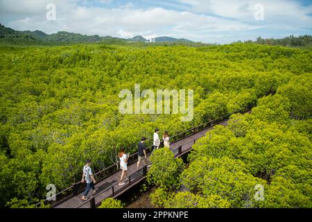 THAILAND PRACHUAP HUA HIN PRANBURI MANGROVES Stock Photo