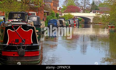 Bridgewater Canal in spring, at Stockton Heath with canal boats, barges moored up looking towards The London Bridge, 163 London Rd, UK, WA4 5BG Stock Photo