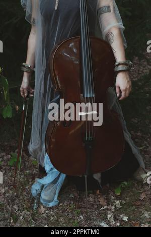 Close up lady and violoncello concept photo Stock Photo