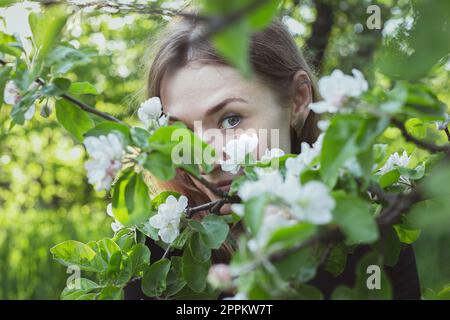 Close up girl peeking over apple blossoms portrait picture Stock Photo