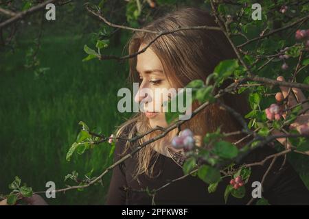 Close up woman touching tenderly cherry blossom branch portrait picture Stock Photo