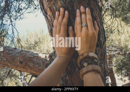 Close up female hands on pine tree trunk concept photo Stock Photo
