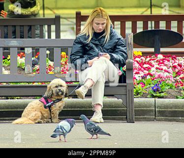 Glasgow, Scotland, UK 24th , April, 2023. UK Weather: Sunny city centre saw locals and tourists spend  lunctime  in george square. Credit Gerard Ferry/Alamy Live News Stock Photo