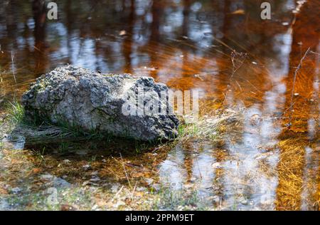 Forest water with yellow sand and stones. Glare from the sun on the water and beautiful amber veins. Reflection of trees in water. Photo Stock Photo