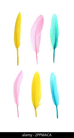 Set with different beautiful color feathers on white background Stock ...