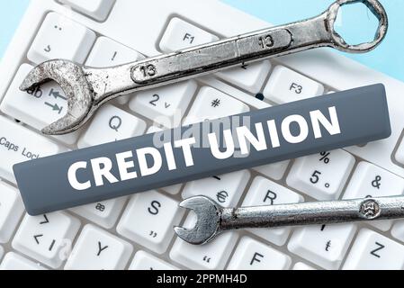 Writing displaying text Credit Union. Internet Concept cooperative association that makes small loans to members Stock Photo