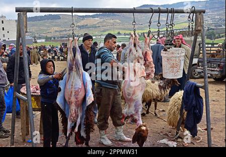 Butcher Father and Son. Shaykh 'Abd al-'Azeez ibn Baaz (may Allah have mercy on him) Halal.Sheep and Goat Market, between, Amman and Jerash, Jordan . Stock Photo