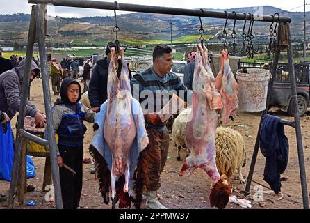 Butcher Father and Son. Shaykh 'Abd al-'Azeez ibn Baaz (may Allah have mercy on him) Halal.Sheep and Goat Market, between, Amman and Jerash, Jordan . Stock Photo