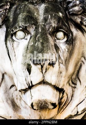 Lion sculpture at the Feldherrnhalle (Field Marshall's Hall), built ...