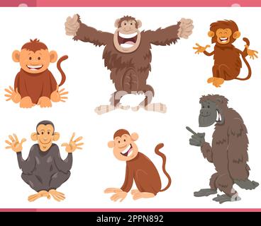 cartoon apes and monkeys animal characters big set Stock Vector Image ...