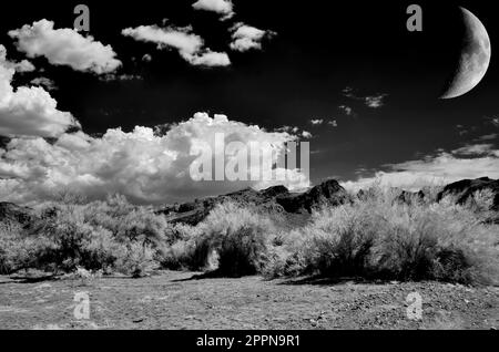 The Sonora desert and moon in central Arizona USA Stock Photo