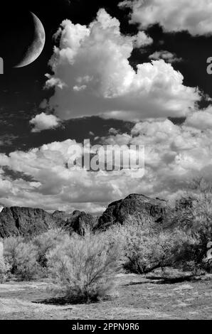 The Sonora desert and moon in central Arizona USA Stock Photo