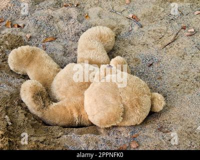 Light brown teddy bear laying down in the sandbox at childrens playground in summer. Stock Photo