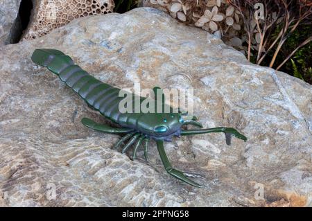 The fearsome sea scorpion Pterygotus (by Toymany) crawled along the sea floor from the late Silurian to the early Devonian Period. Stock Photo