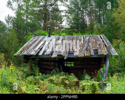 an old abandoned wooden house in the taiga. A hunting lodge in Siberia Stock Photo