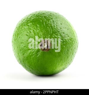 Lime isolated on white background. Stock Photo