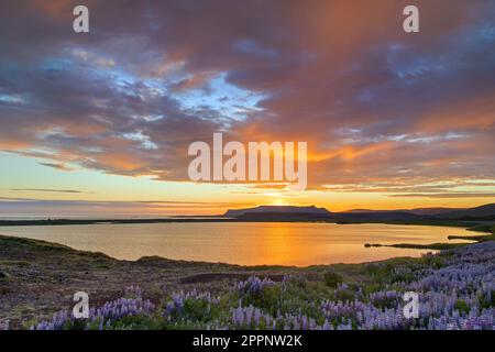 Rain clouds at sunset over lake Presthólalón, coastal sea lagoon near Kópasker in summer, Norðurland eystra / Northeastern Region, Iceland Stock Photo