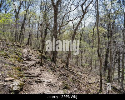 Lime Kiln Trail at Rockwoods Reservation Stock Photo - Alamy