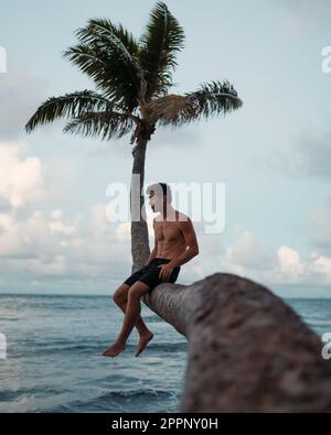 Man Sitting on Curved Palm Tree. High quality photo. During sunset on Hawaii's island of Oahu. Stock Photo