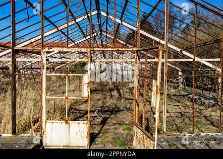 Abandoned greenhouse. Ruined abandoned greenhouse complex. Stock Photo