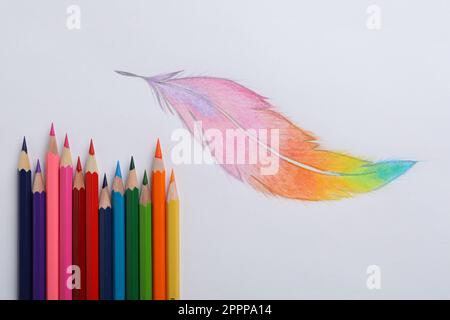 Colorful Bird Feather Image & Photo (Free Trial) | Bigstock