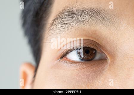Close up of the facial details of a young Asian male. Almond eye macro with brown iris. Groomed eyelashes and eyebrows. Stock Photo