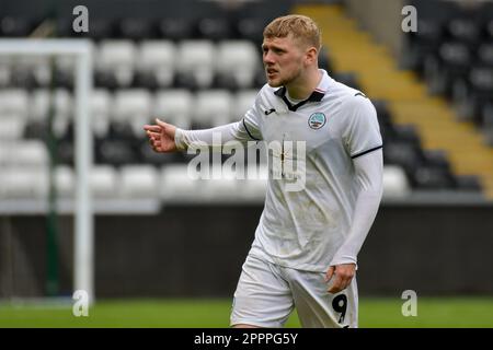 Swansea, Wales. 24 April 2023. Josh Thomas of Swansea City during the Professional Development League game between Swansea City Under 21 and Sheffield United Under 21 at the Swansea.com Stadium in Swansea, Wales, UK on 24 April 2023. Credit: Duncan Thomas/Majestic Media/Alamy Live News. Stock Photo